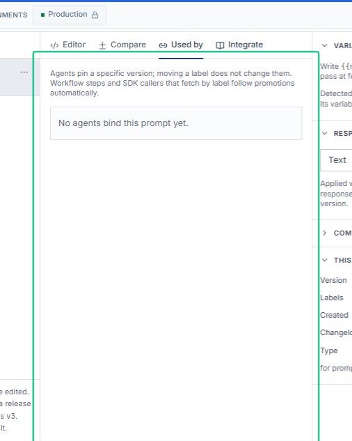 Review the version pinning explanation