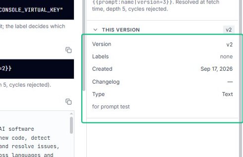 Review the version metadata panel
