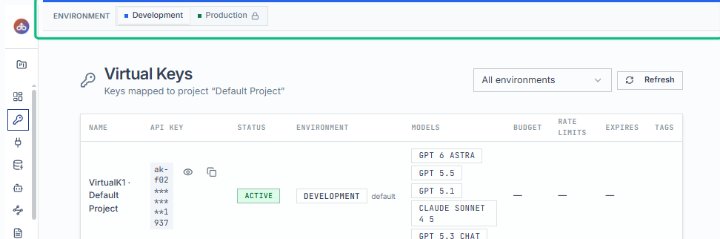 Switch to the Development environment