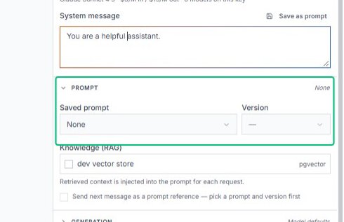 Review the prompt settings section