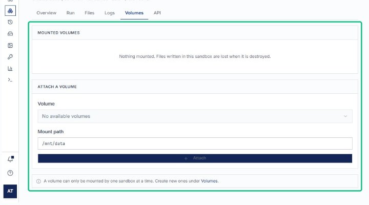Review the MOUNTED VOLUMES section