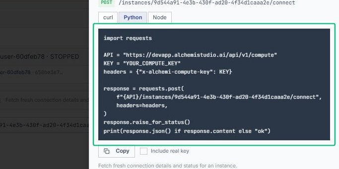 Review the Python code snippet