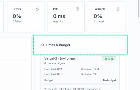 Review the Limits & Budget panel