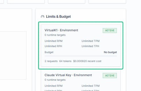 Review the VirtualK1 Environment card